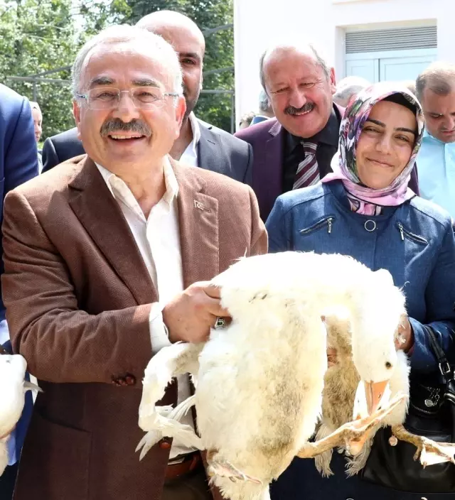 Hilmi Güler: