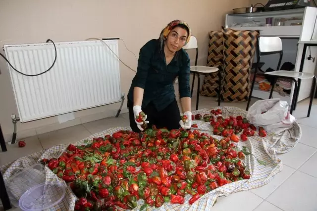 Okul bahçesi üretim alanına çevrildi, kazanan kadınlar oldu Okul bahçesi üretim alanına çevrildi, kazanan kadınlar oldu
