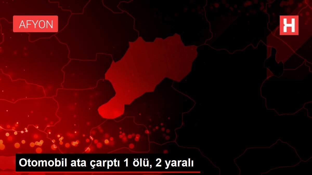 Otomobil ata çarptı 1 ölü, 2 yaralı
