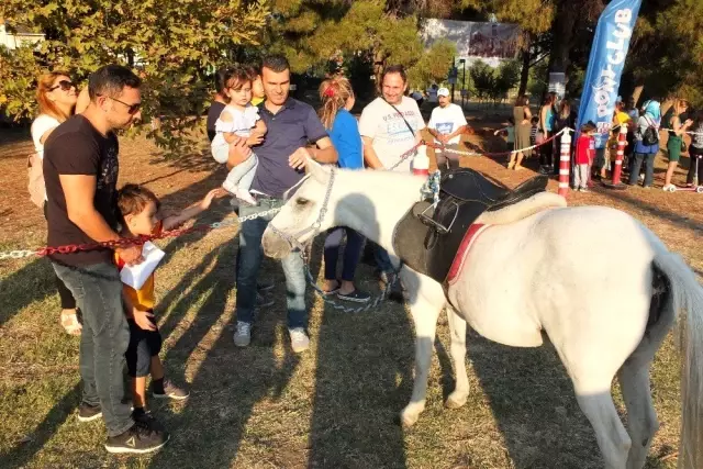 (Özel) Atla gelen terapi (Özel) Atla gelen terapi