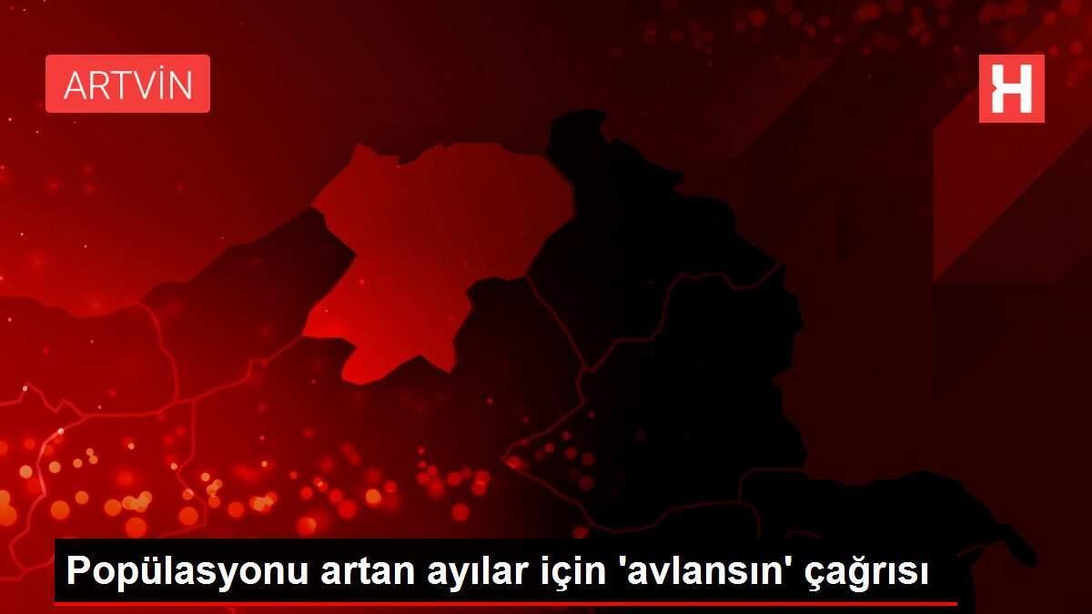 Popülasyonu artan ayılar için 'avlansın' çağrısı