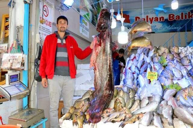 Samsun'da sezonun en büyük yayın balığı yakalandı