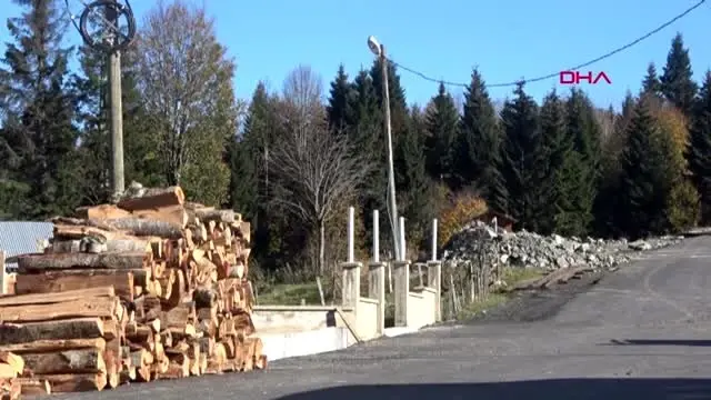 Trabzon popülasyonu artan ayılar için 'avlansın' çağrısı