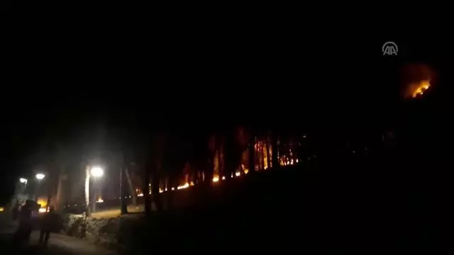Adana'daki orman yangını Adana'daki orman yangını