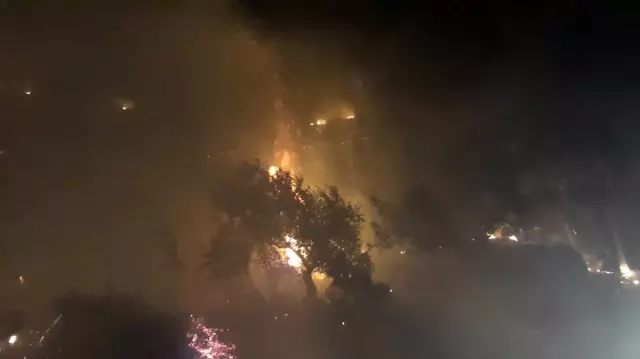 Adana'daki orman yangını Adana'daki orman yangını