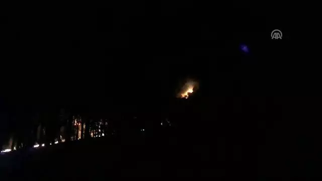 Adana'daki orman yangını Adana'daki orman yangını
