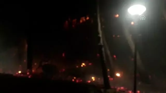 Adana'daki orman yangını Adana'daki orman yangını