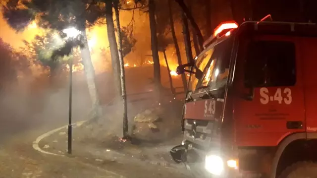 Adana'daki orman yangını Adana'daki orman yangını