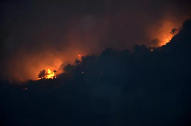Adana'daki orman yangını Adana'daki orman yangını