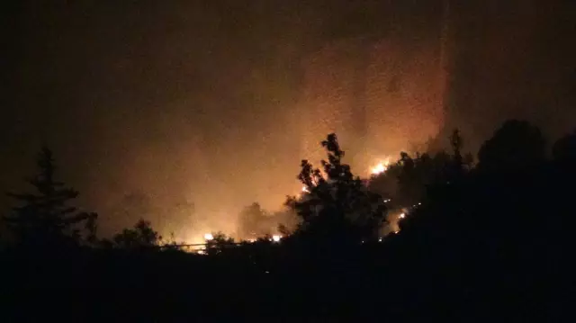 Adana'daki orman yangını Adana'daki orman yangını