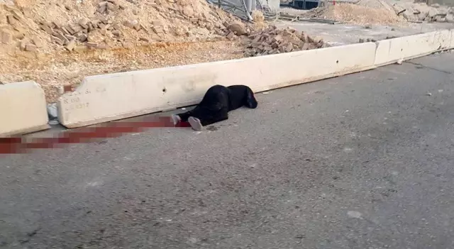 İsrail'in katlettiği Filistinli kadının kimliği ortaya çıktı İsrail'in katlettiği Filistinli kadının kimliği ortaya çıktı