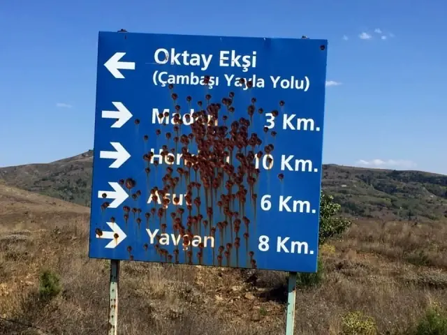 Ordu'da tabelalara 'maganda' kurşunu