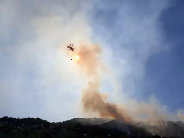 Osmaniye'de orman yangını