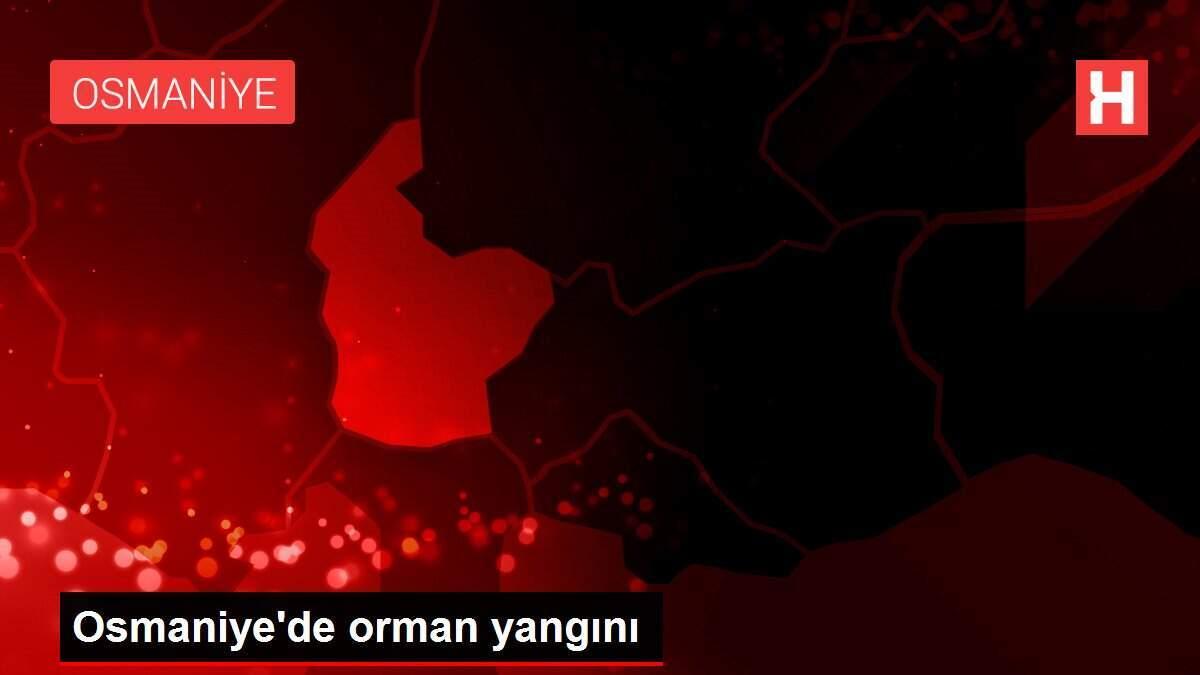 Osmaniye'de orman yangını