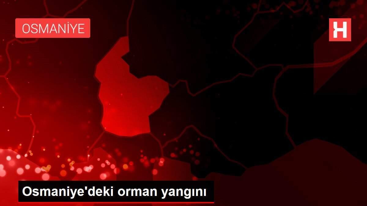 Osmaniye'deki orman yangını