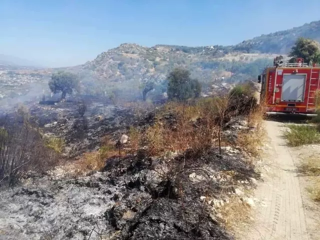 Samandağ'da bitki örtüsü yangını Samandağ'da bitki örtüsü yangını