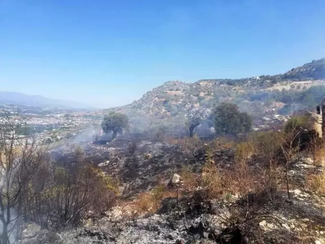 Samandağ'da bitki örtüsü yangını Samandağ'da bitki örtüsü yangını
