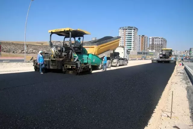Şanlıurfa Beyazgül ile çağ atlıyor Şanlıurfa Beyazgül ile çağ atlıyor