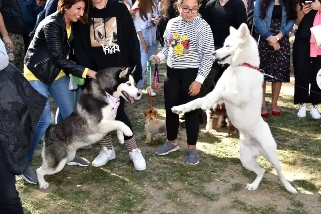 Türkiye'nin ilk Evcil Hayvan ve Yaşam Festivali Türkiye'nin ilk Evcil Hayvan ve Yaşam Festivali