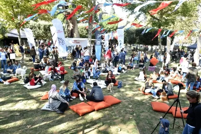 Türkiye'nin ilk Evcil Hayvan ve Yaşam Festivali 'Petival' renkli anlara sahne oldu Türkiye'nin ilk Evcil Hayvan ve Yaşam Festivali 'Petival' renkli anlara sahne oldu
