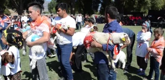 Antalya elmalı'da renkli çoban festivali