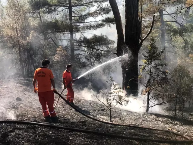 Kemer'deki orman yangını kontrol altına alındı