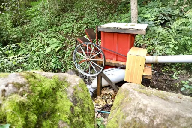 Ordu'nun derelerinden elektrik üretilecek