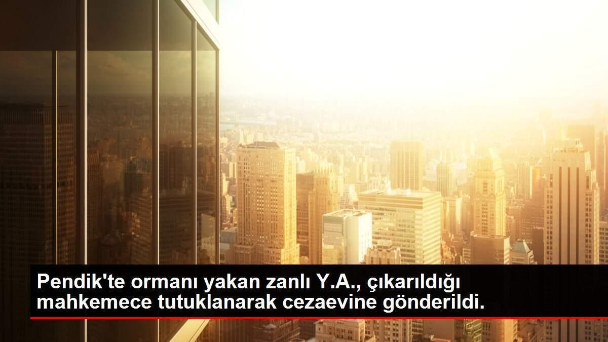 Pendik'te ormanı yakan zanlı Y.A., çıkarıldığı mahkemece tutuklanarak cezaevine gönderildi. Pendik'te ormanı yakan zanlı Y.A., çıkarıldığı mahkemece tutuklanarak cezaevine gönderildi.