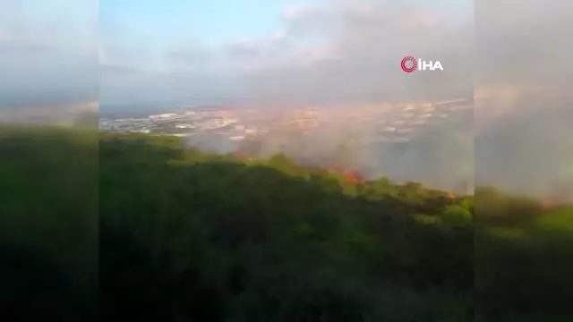 Pendik'teki orman yangınını çıkarttığı iddia edilen zanlı, emniyetteki işlemlerinin ardından... Pendik'teki orman yangınını çıkarttığı iddia edilen zanlı, emniyetteki işlemlerinin ardından...