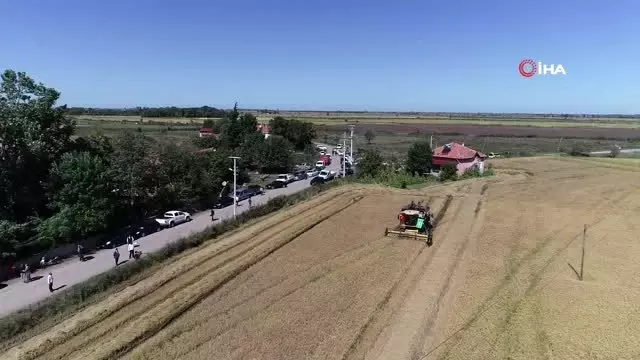 Protokol çeltik hasadında Protokol çeltik hasadında