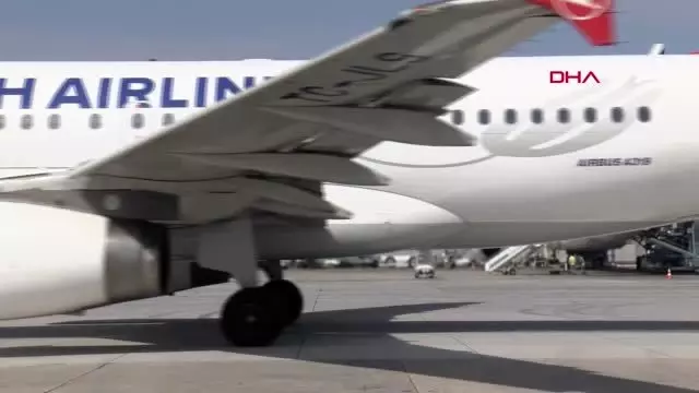 Atatürk havalimanı'nda 'millet bahçesi' hazırlıkları başladı Atatürk havalimanı'nda 'millet bahçesi' hazırlıkları başladı