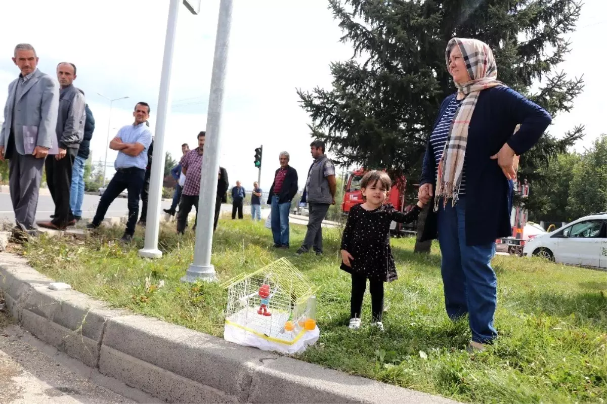 Bolu'da, trafik kazası: 1 yaralı