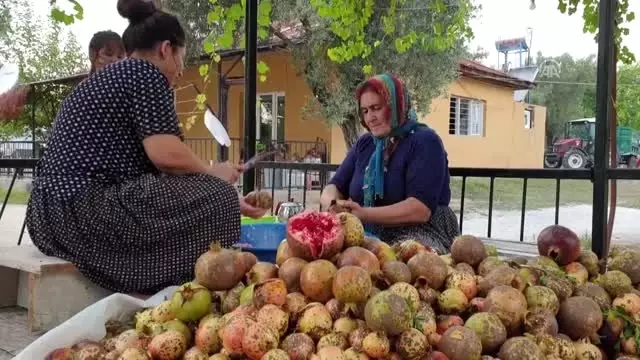Doğu Akdeniz'de 'nar ekşisi' zamanı Doğu Akdeniz'de 'nar ekşisi' zamanı