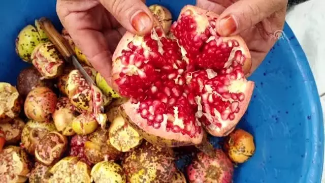 Doğu Akdeniz'de 'nar ekşisi' zamanı Doğu Akdeniz'de 'nar ekşisi' zamanı