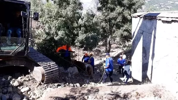 Kuyuya düşen boğayı, afad kurtardı Kuyuya düşen boğayı, afad kurtardı