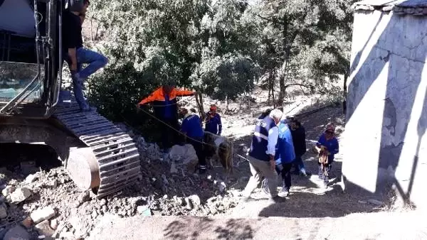 Kuyuya düşen boğayı, afad kurtardı Kuyuya düşen boğayı, afad kurtardı