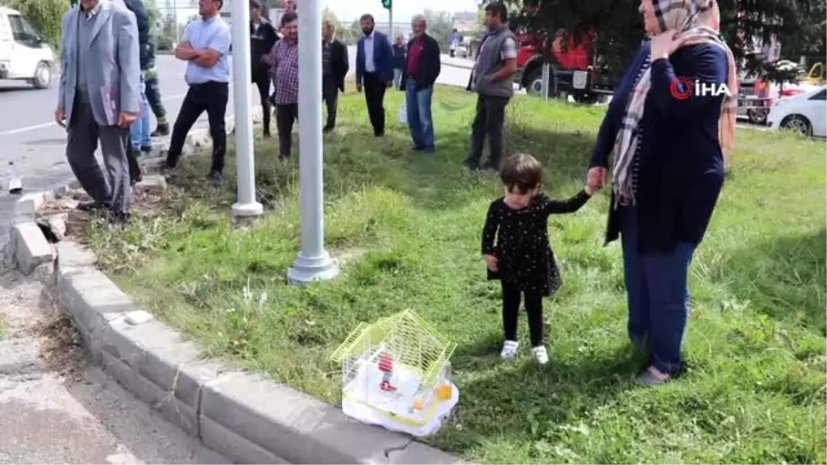 Minik Zehra kaza sonrası 'şaşkın' isimli kuşundan ayrılmadı