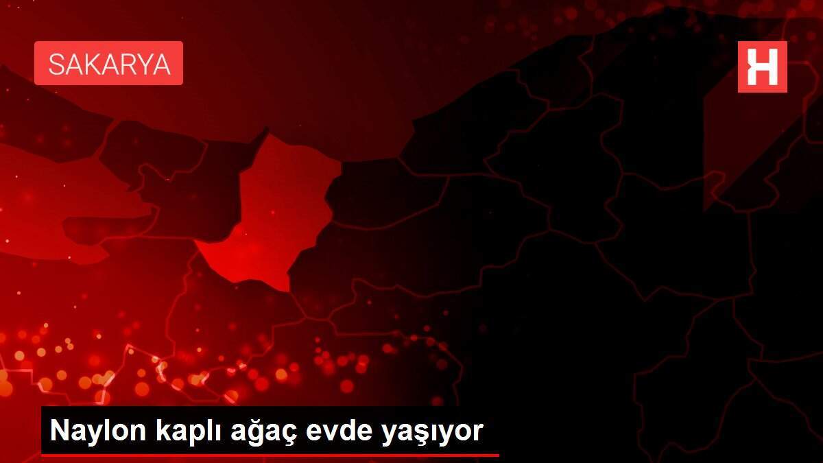 Naylon kaplı ağaç evde yaşıyor