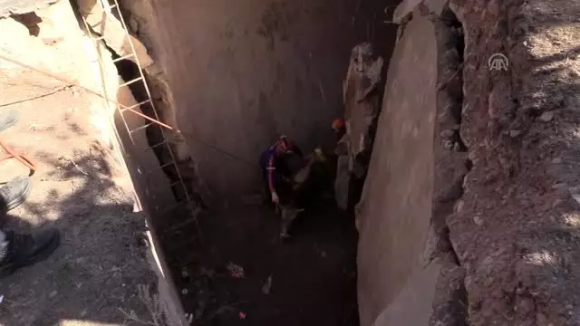 Su kuyusuna düşen tosun kepçeyle kurtarıldı Su kuyusuna düşen tosun kepçeyle kurtarıldı