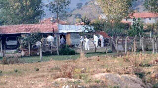 6 bin ölü tavuğun gömülü halde bulunduğu mahalle karantinaya alındı