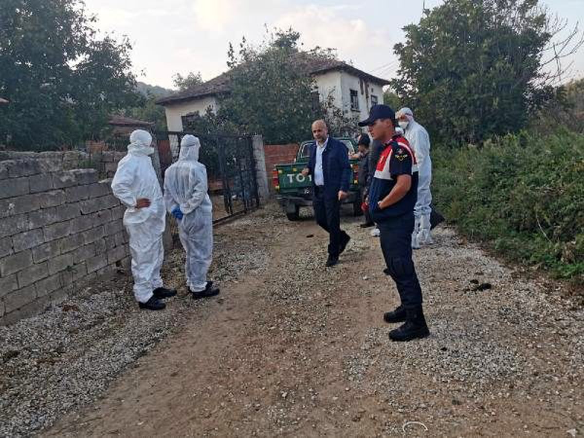 6 bin ölü tavuğun gömülü halde bulunduğu mahalle karantinaya alındı
