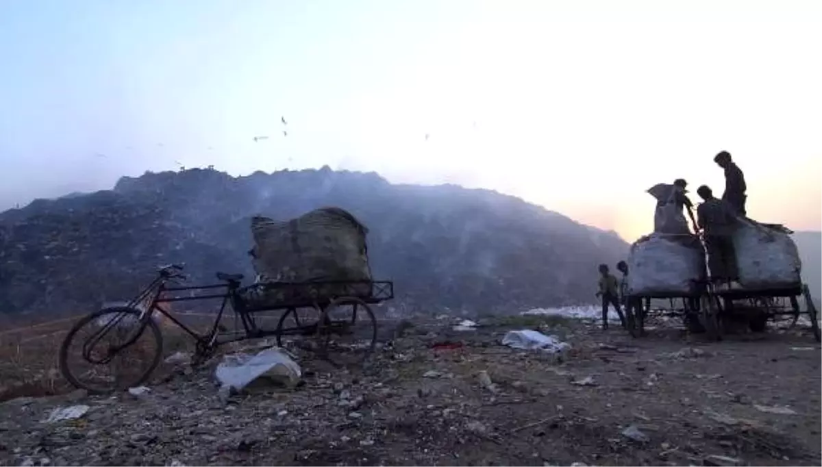 Bozcaada ekolojik belgesel festivali'nde finalistler belli oldu