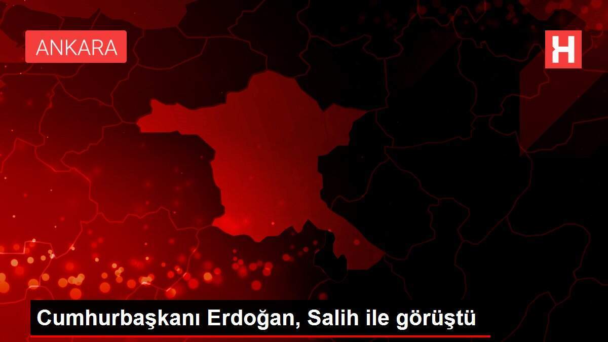 Cumhurbaşkanı Erdoğan, Salih ile görüştü