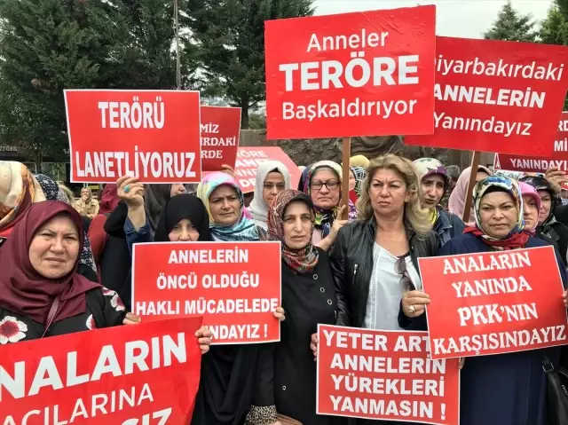 Diyarbakır annelerine kadın desteği Diyarbakır annelerine kadın desteği