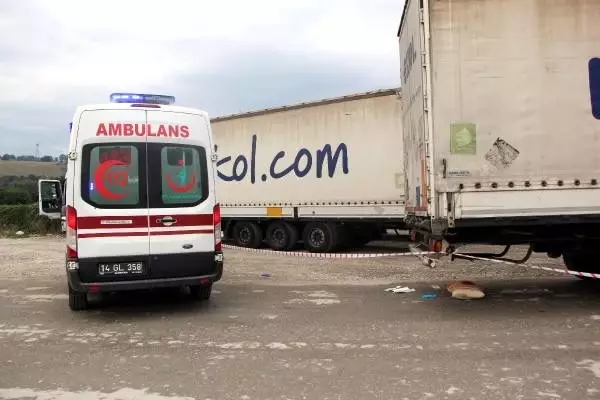 Geri manevra yapan tır'ın çarpmasıyla yaralandı Geri manevra yapan tır'ın çarpmasıyla yaralandı
