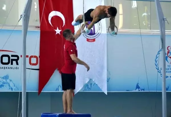 Jimnastik milli takımı'nda hedef, 2020 tokyo olimpiyatları için kota Jimnastik milli takımı'nda hedef, 2020 tokyo olimpiyatları için kota