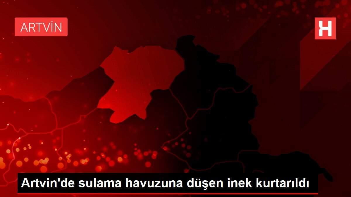 Artvin'de sulama havuzuna düşen inek kurtarıldı Artvin'de sulama havuzuna düşen inek kurtarıldı