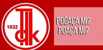 Poğaça nasıl yazılır? TDK'ya göre poğaça mı poaça mı poça mı?