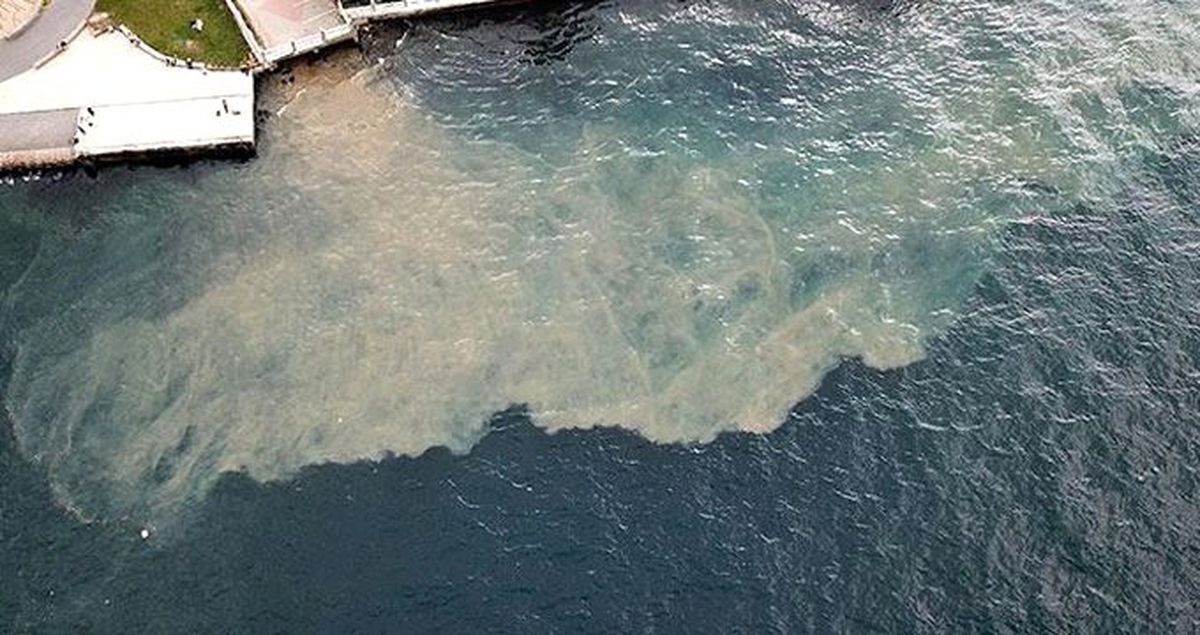 Deprem sonrası İstanbul Boğazı'nın kıyı kesimleri çamur tabakası ile kaplandı