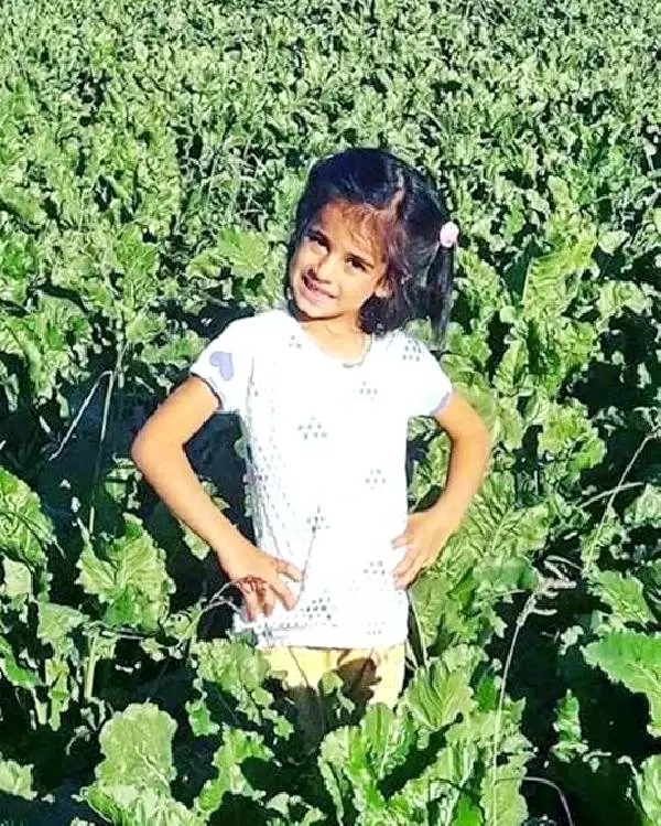 Eylül'ün cinayet sanığı tahliyesini istedi, mahkeme reddetti Eylül'ün cinayet sanığı tahliyesini istedi, mahkeme reddetti